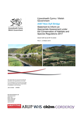 A487 New Dyfi Bridge Statement to Inform an Appropriate Assessment Under the Conservation of Habitats and Species Regulations 2017