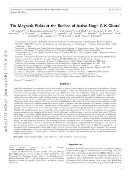 The Magnetic Fields at the Surface of Active Single GK Giants