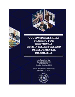 Occupational Skills Training for Individuals with Intellectual and Developmental Disabilities (IDD)