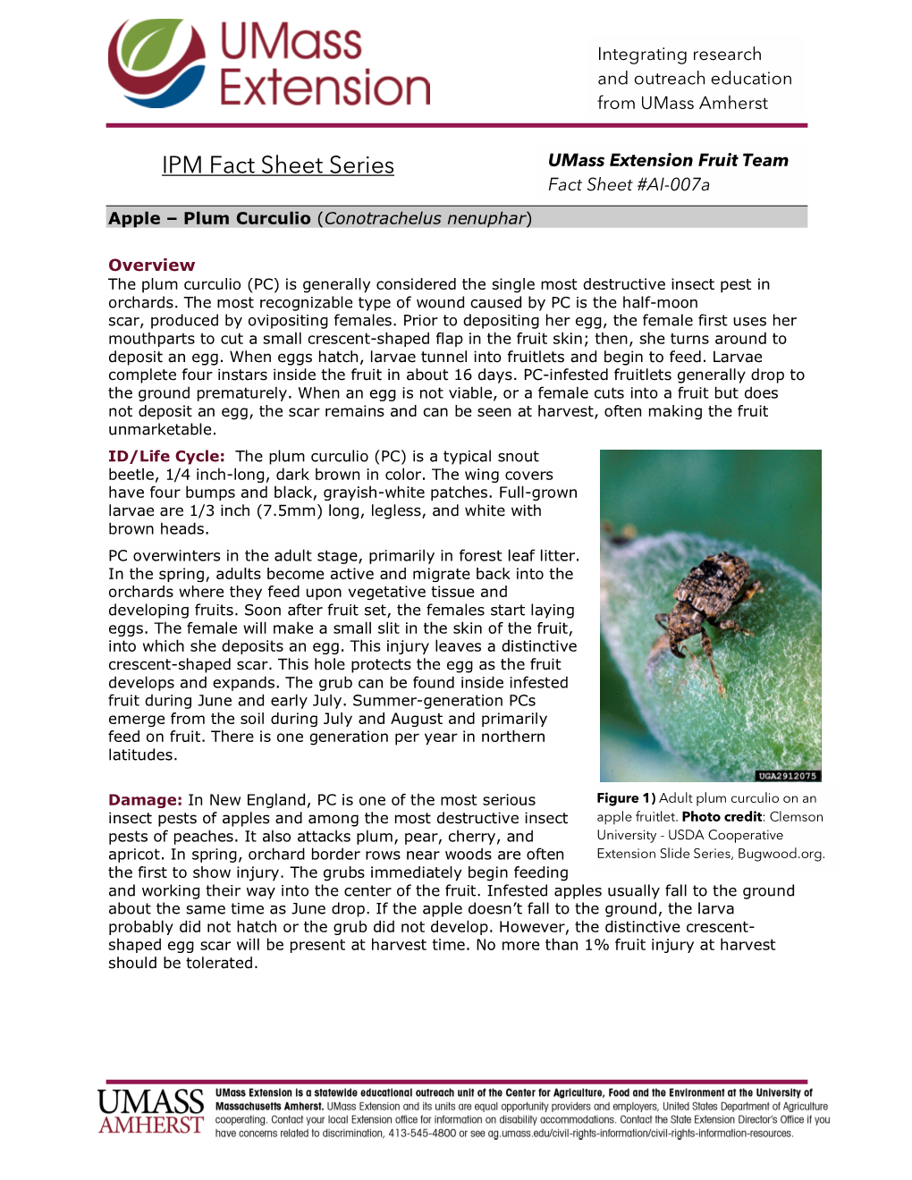 IPM Fact Sheet Series Umass Extension Fruit Team Fact Sheet #AI-007A Apple – Plum Curculio (Conotrachelus Nenuphar)