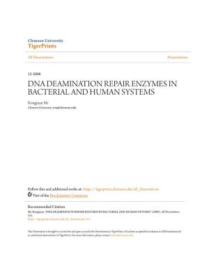 DNA DEAMINATION REPAIR ENZYMES in BACTERIAL and HUMAN SYSTEMS Rongjuan Mi Clemson University, Rmi@Clemson.Edu