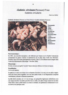 Cudonia Circinans (Persoon) Fries Cudonie Circulaire J Eon-Luc Muller