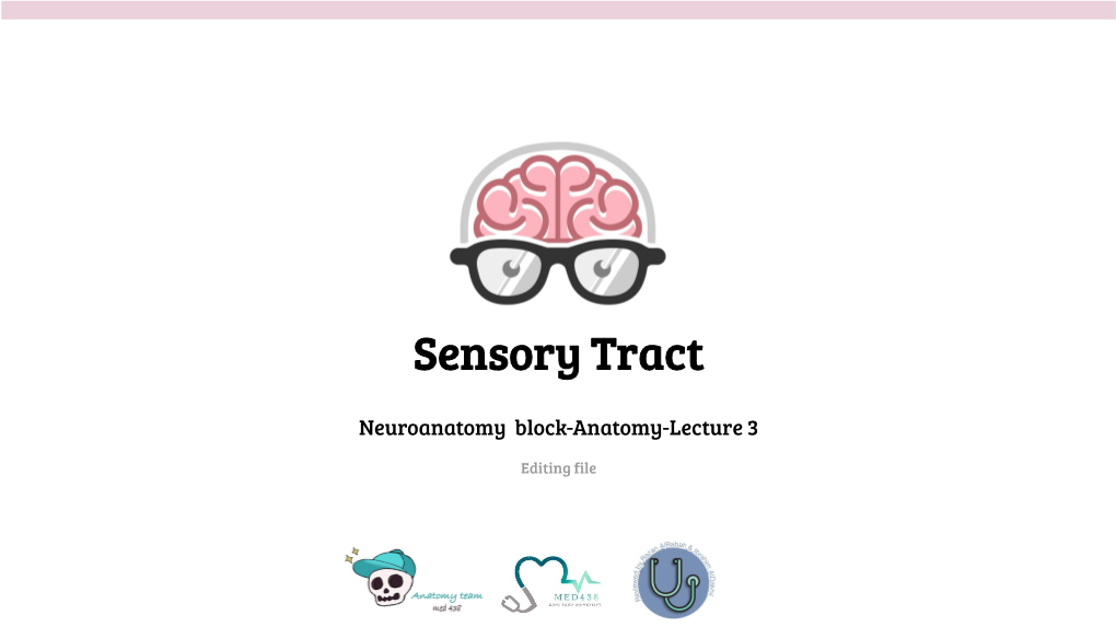 Sensory Tract