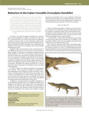 Behaviors in the Cuban Crocodile (Crocodylus Rhombifer)