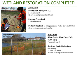 Wetlands Restoration