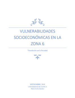 Vulnerabilidades Socioeconómicas En La Zona 6
