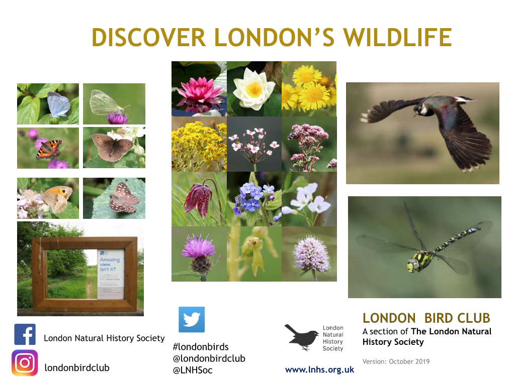 Discover London's Wildlife