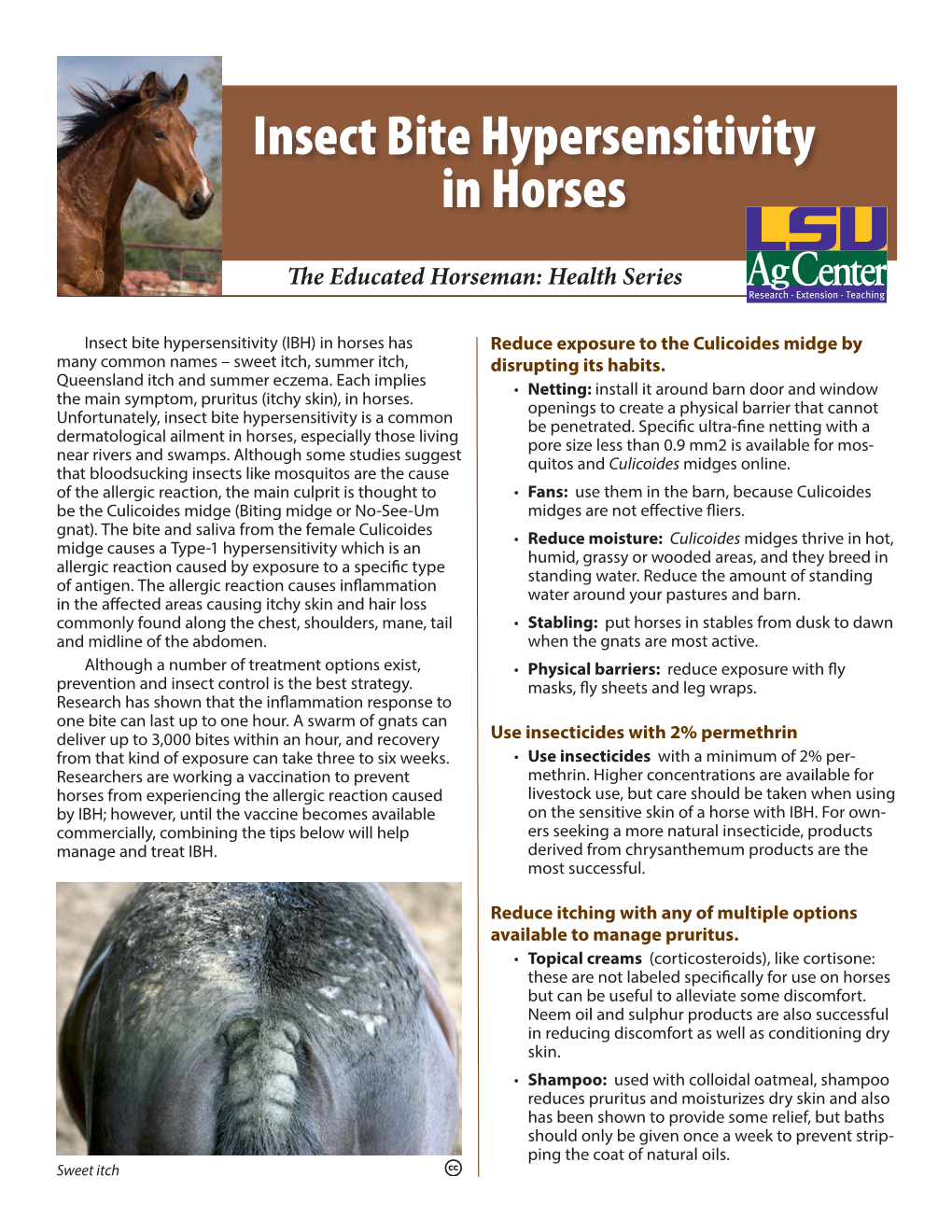 Insect Bite Hypersensitivity in Horses