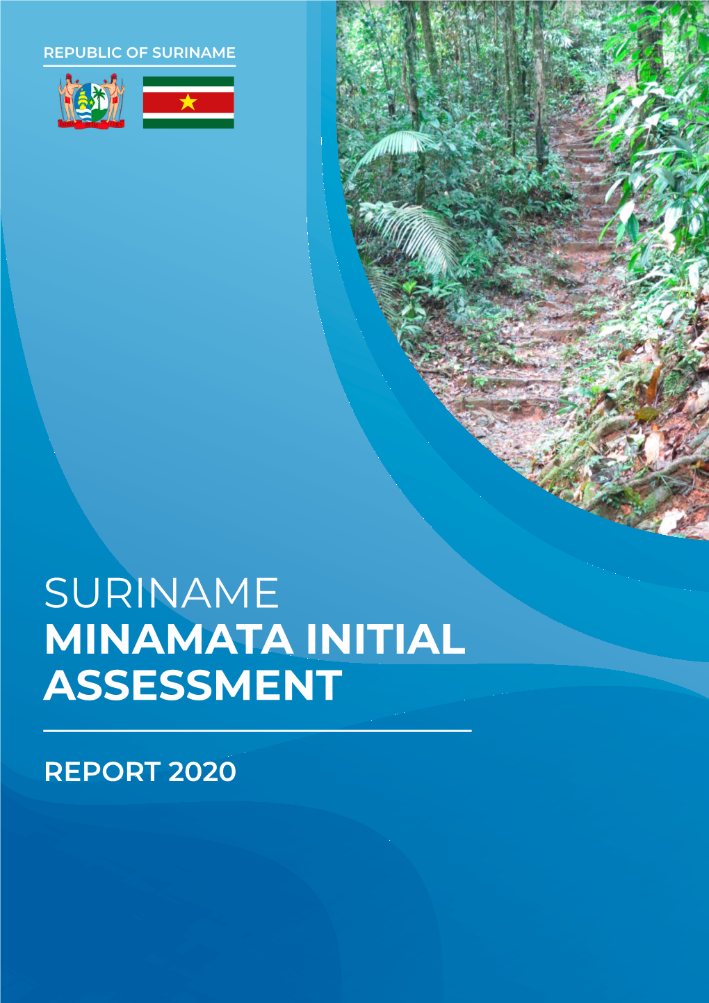 Suriname Minamata Initial Assessment