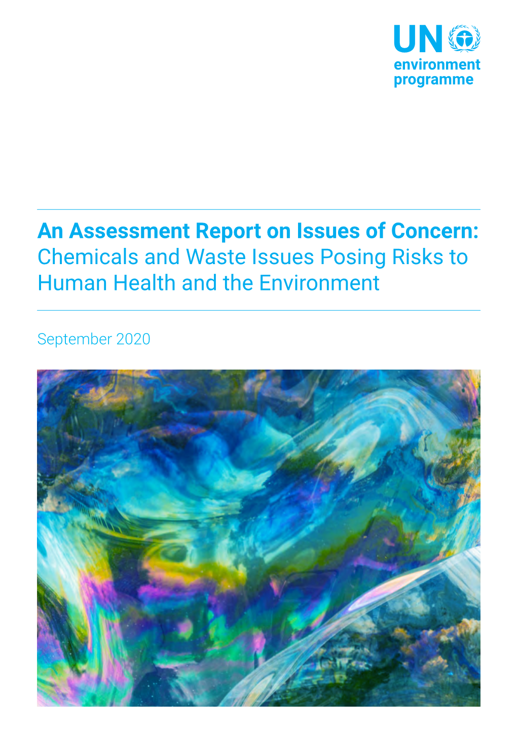 An Assessment Report on Issues of Concern: Chemicals and Waste Issues Posing Risks to Human Health and the Environment