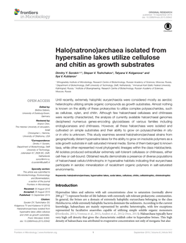 Archaea Isolated from Hypersaline Lakes Utilize Cellulose and Chitin As Growth Substrates