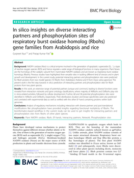 In Silico Insights on Diverse Interacting Partners and Phosphorylation Sites