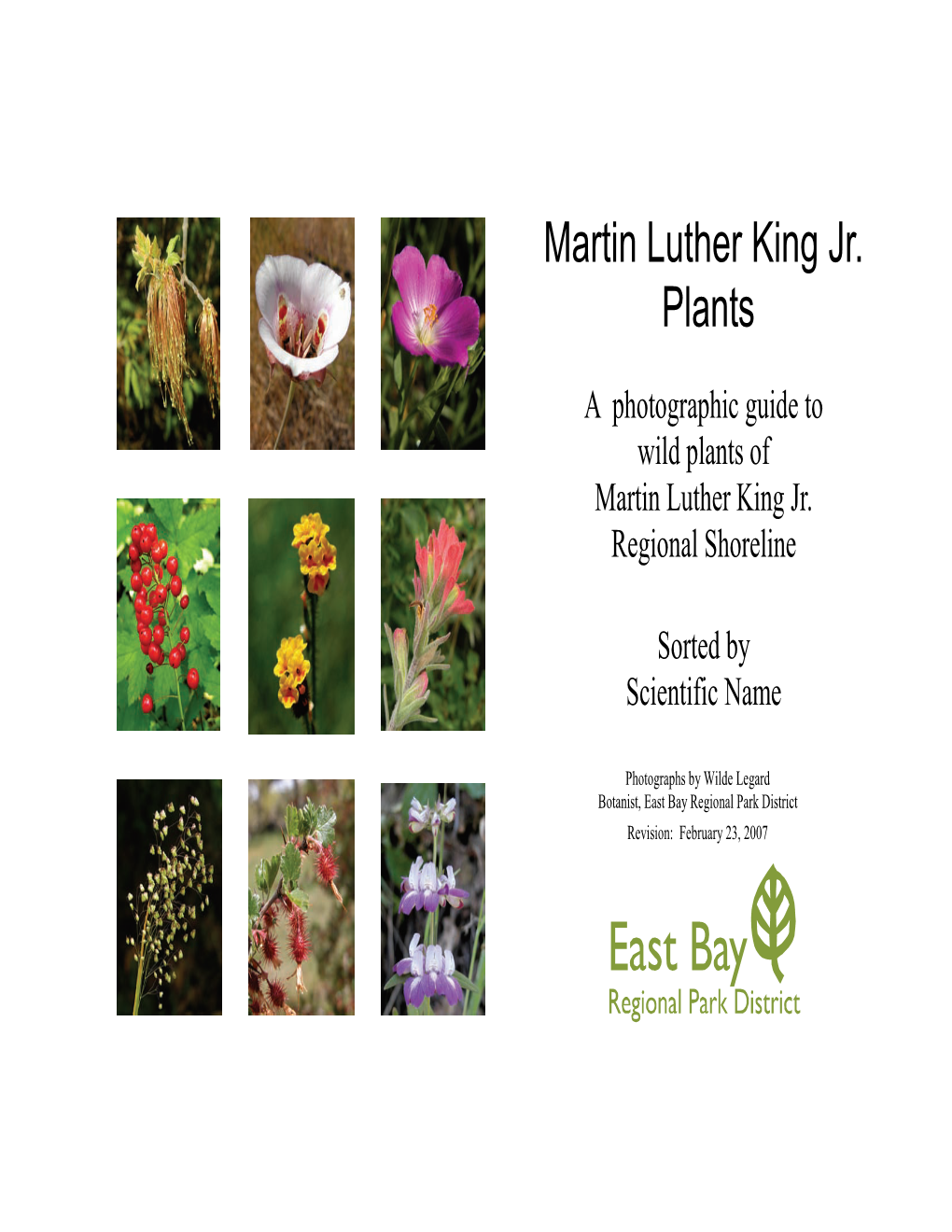 Martin Luther King Jr. Plants