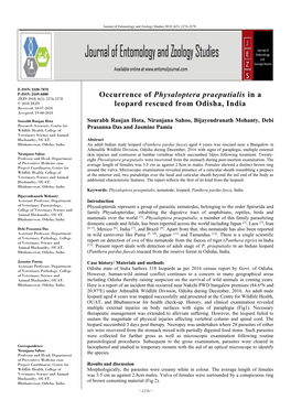 Occurrence of Physaloptera Praeputialis in a Leopard Rescued