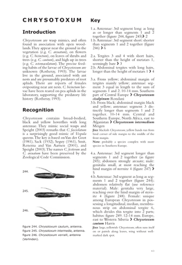 CHRYSOTOXUM Key 1.A