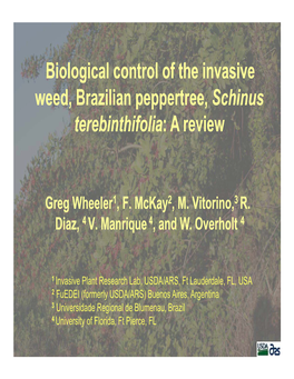 Biological Control of the Invasive Weed, Brazilian Peppertree, Schinus Terebinthifolia: a Review