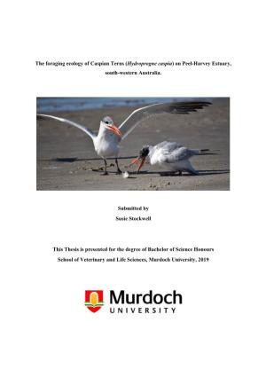The Foraging Ecology of Caspian Terns (Hydroprogne Caspia) on Peel-Harvey Estuary, South-Western Australia