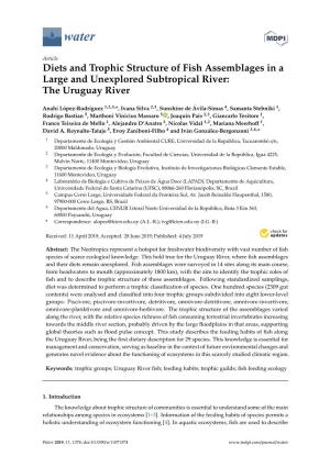 Diets and Trophic Structure of Fish Assemblages in a Large and Unexplored Subtropical River: the Uruguay River