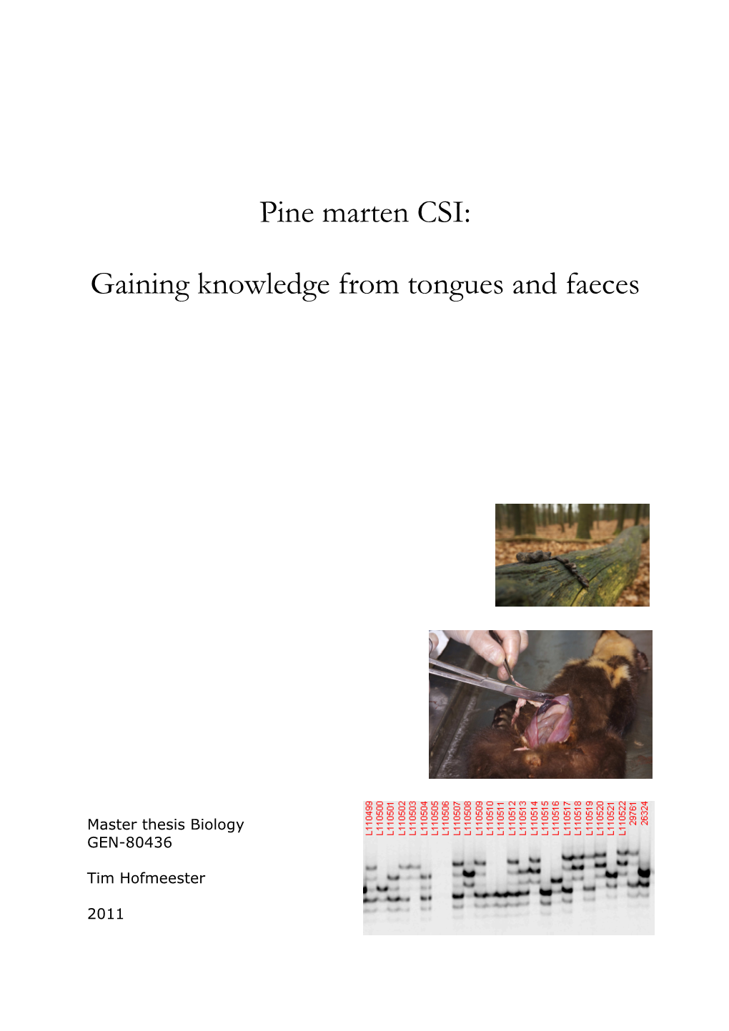 Thesis Tim Hofmeester Pine Marten Genetics