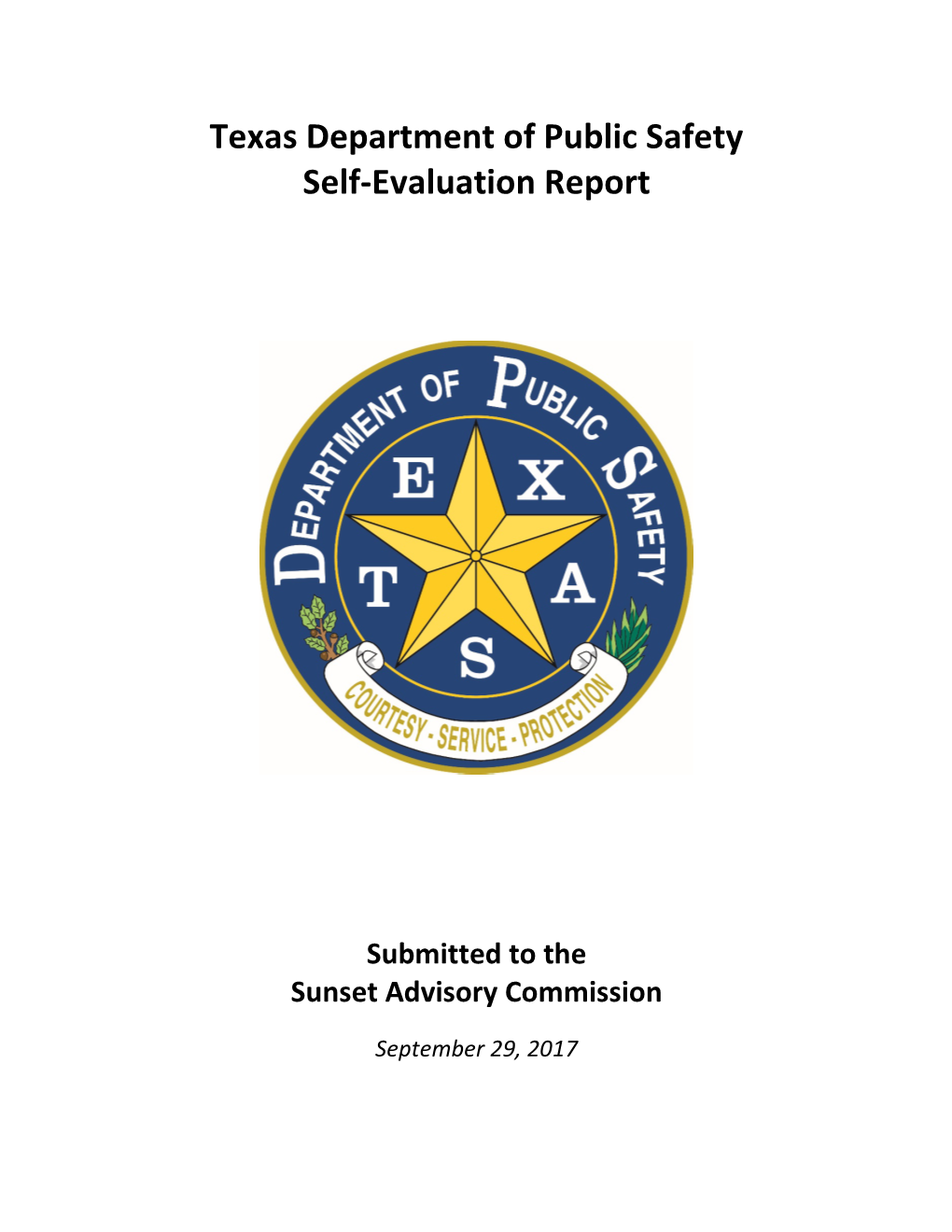 Texas Department of Public Safety Self-Evaluation Report