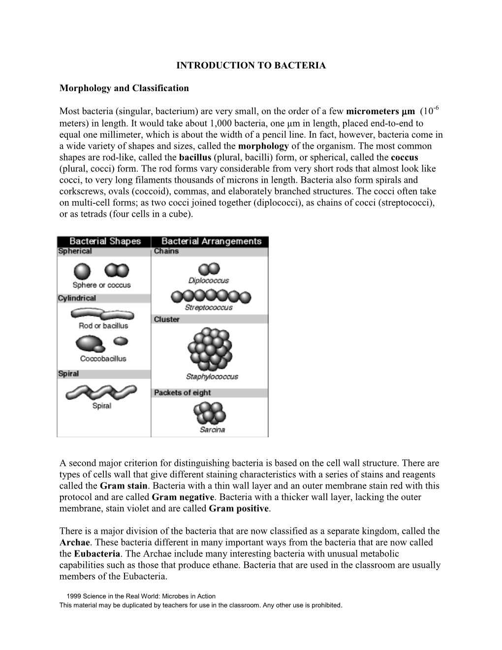 Introduction to Bacteria