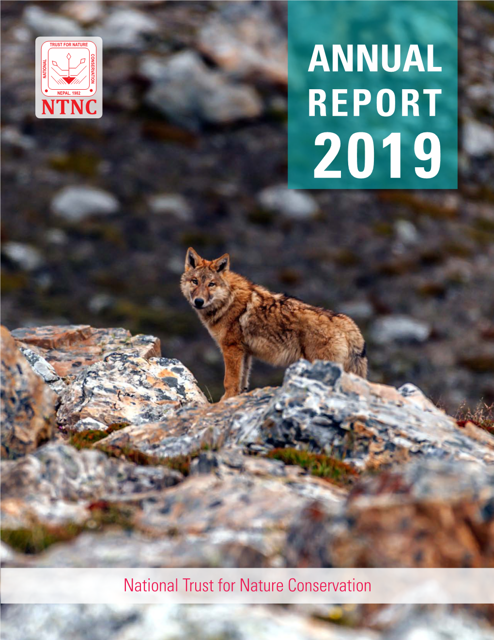 Annual Report 2019