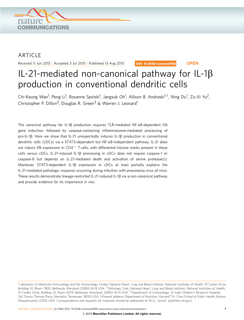 Production in Conventional Dendritic Cells