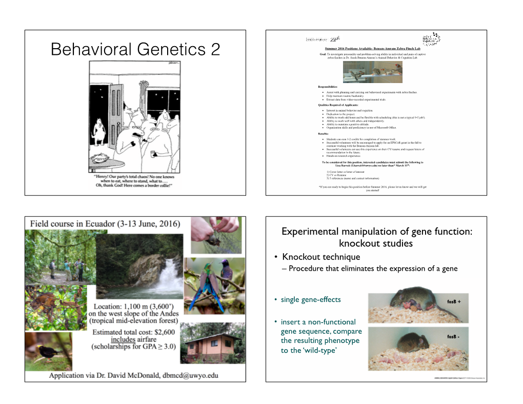 Behavioral Genetics 2 Goal: to Investigate Personality and Problem-Solving Ability in Individual and Pairs of Captive Zebra Finches in Dr