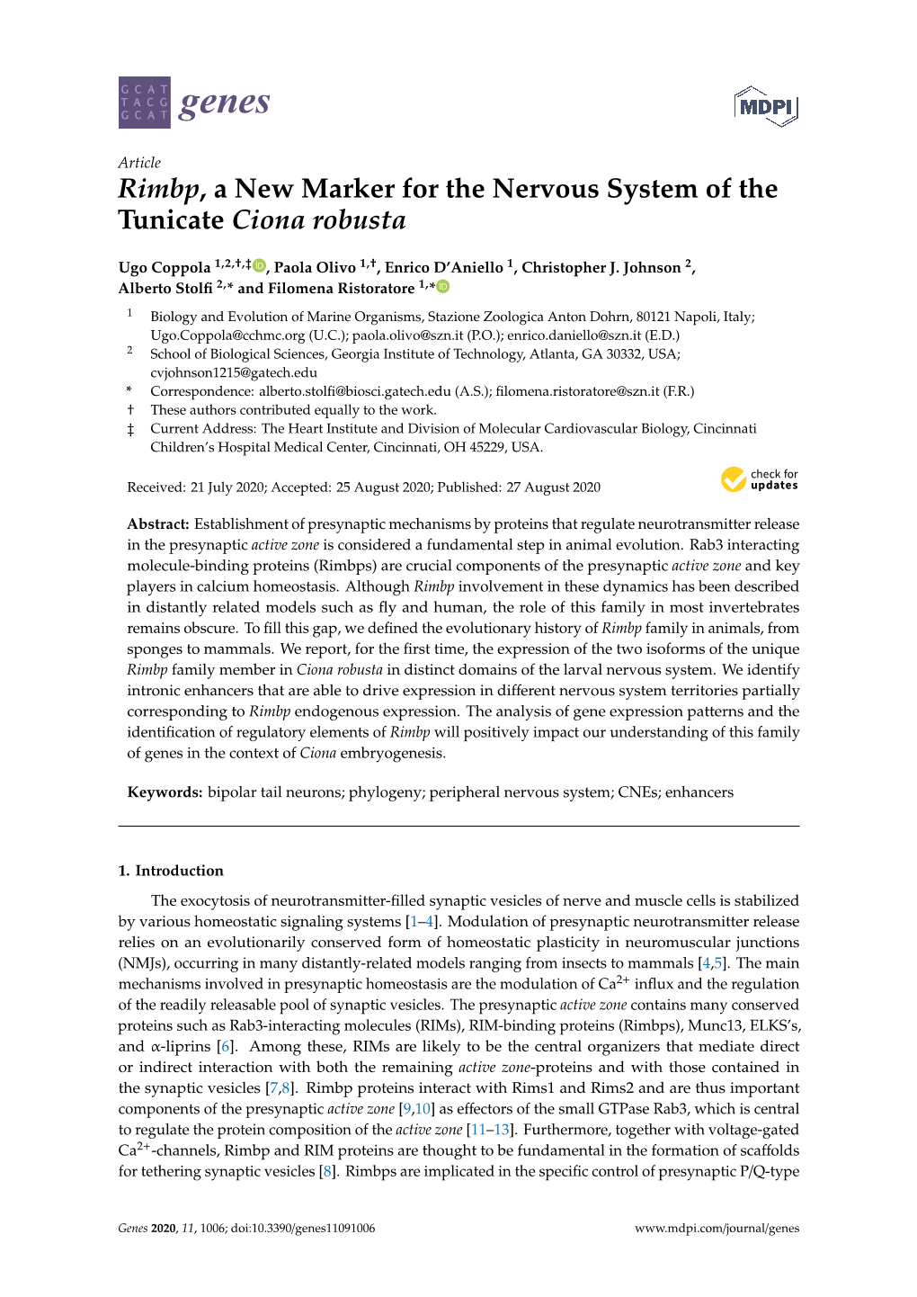 Rimbp, a New Marker for the Nervous System of the Tunicate Ciona Robusta