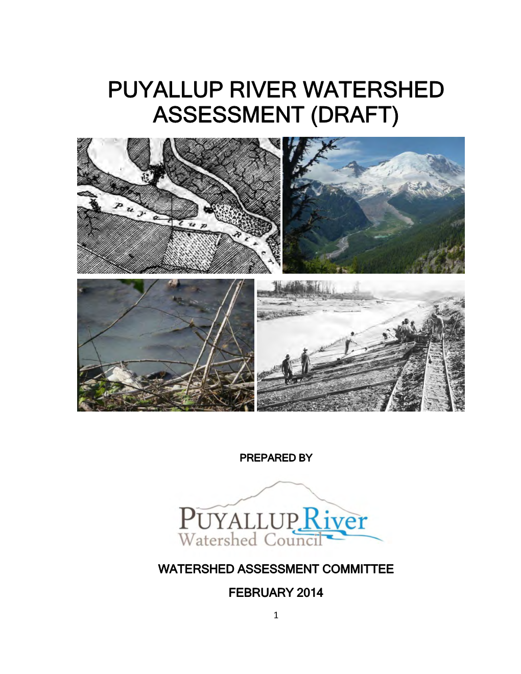 Puyallup River Watershed Assessment (Draft)