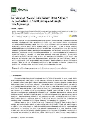 Survival of Quercus Alba (White Oak) Advance Reproduction in Small Group and Single Tree Openings