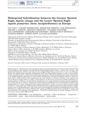Widespread Hybridization Between the Greater Spotted Eagle Aquila Clanga and the Lesser Spotted Eagle Aquila Pomarina (Aves: Accipitriformes) in Europe