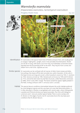 Warnstorfia Exannulata Drepanocladus Exannulatus, Sarmentypnum Exannulatum Ringless Hook-Moss Key 322