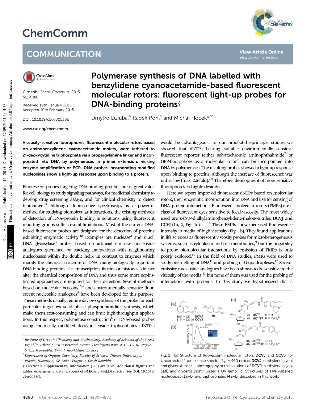 Polymerase Synthesis of DNA Labelled with Benzylidene Cyanoacetamide-Based Fluorescent Cite This: Chem