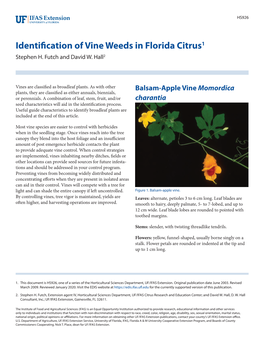 Identification of Vine Weeds in Florida Citrus1 Stephen H