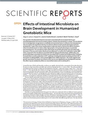 Effects of Intestinal Microbiota on Brain Development in Humanized