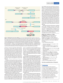 News & Views Research