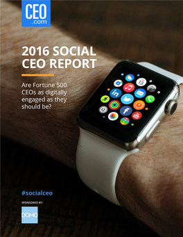 2016 Social Ceo Report
