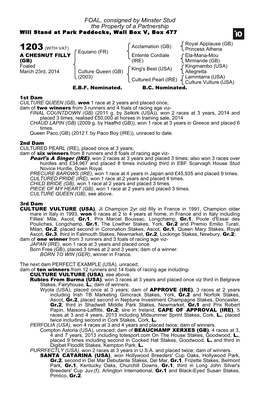 FOAL, Consigned by Minster Stud the Property of a Partnership Will Stand at Park Paddocks, Wall Box V, Box 477