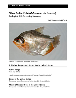 Silver Dollar Fish (Mylossoma Duriventris) Ecological Risk Screening Summary