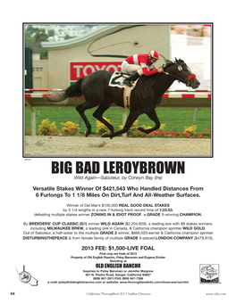 BIG BAD LEROYBROWN:Layout 1 11/28/12 7:40 AM Page 1