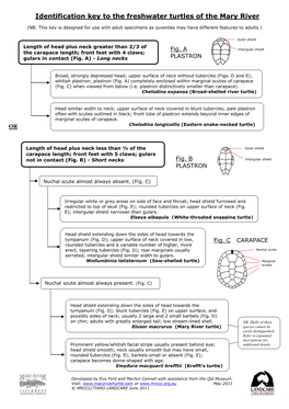 Turtle-Key-Part-A.Pdf