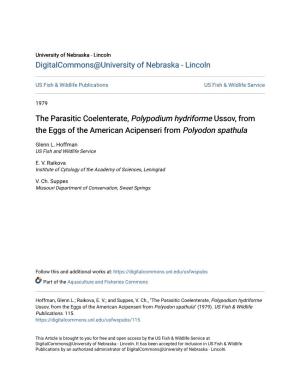 The Parasitic Coelenterate, Polypodium Hydriforme Ussov, from the Eggs of the American Acipenseri from Polyodon Spathula
