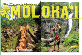 The Holoholo Guide To