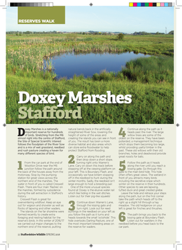 Doxey Marshes Stafford