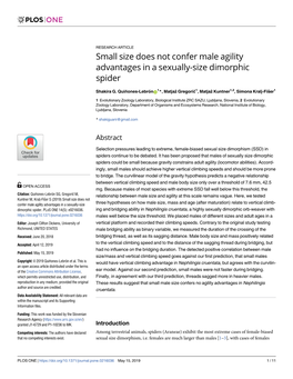 Small Size Does Not Confer Male Agility Advantages in a Sexually-Size Dimorphic Spider