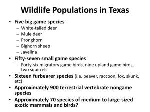 Wildlife Populations in Texas