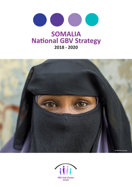 SOMALIA National GBV Strategy 2018 - 2020