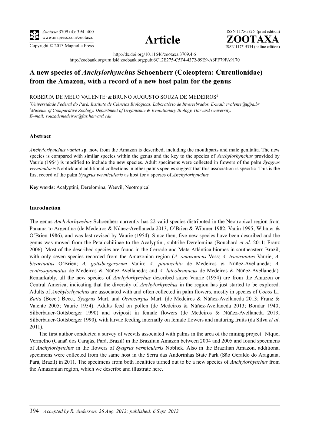 A New Species of Anchylorhynchus Schoenherr (Coleoptera: Curculionidae) from the Amazon, with a Record of a New Host Palm for the Genus