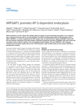 ARFGAP1 Promotes AP-2-Dependent Endocytosis